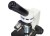 (PL) Mikroskop Discovery Femto Polar z książką-1430664