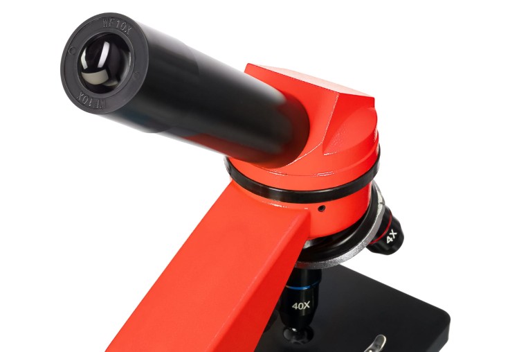 (PL) Mikroskop Levenhuk Rainbow 2L Orange\Pomarańcza-1438902