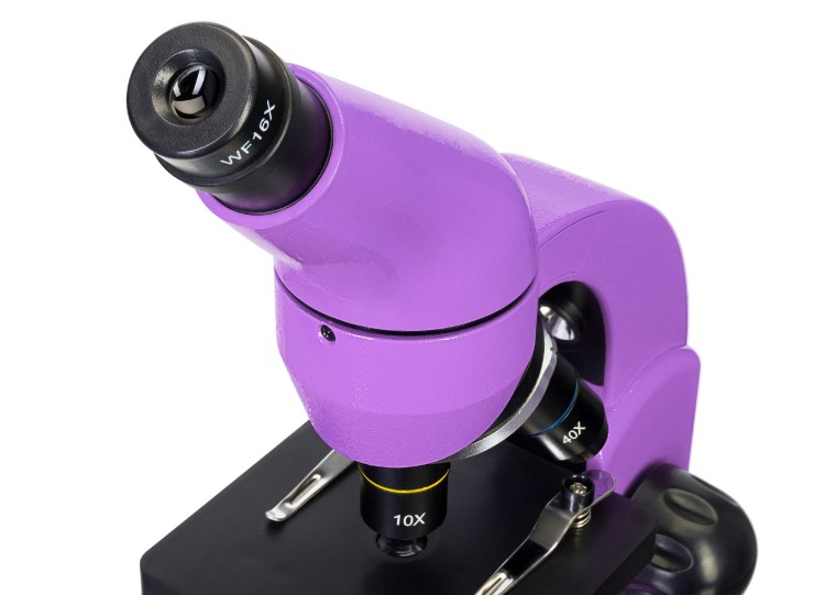 (PL) Mikroskop Levenhuk Rainbow 50L PLUS Amethyst\Ametyst-1439136