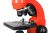 (PL) Mikroskop Levenhuk Rainbow 50L PLUS Orange\Pomarańcza-1439220