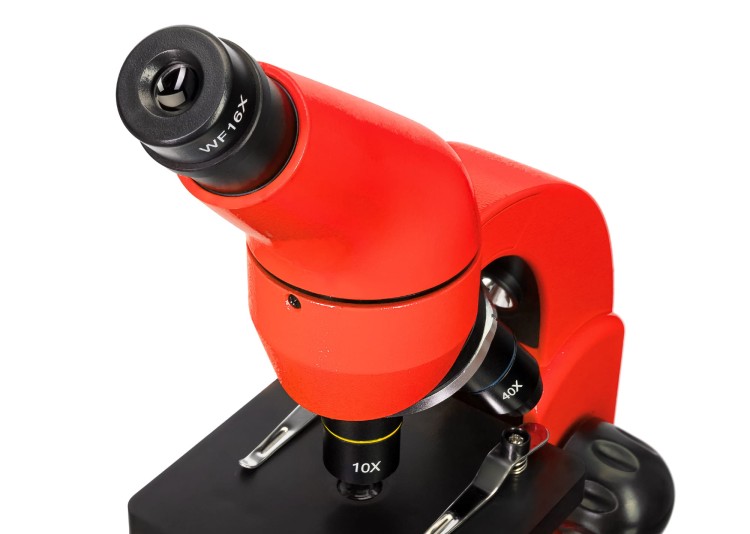 (PL) Mikroskop Levenhuk Rainbow 50L PLUS Orange\Pomarańcza-1439215