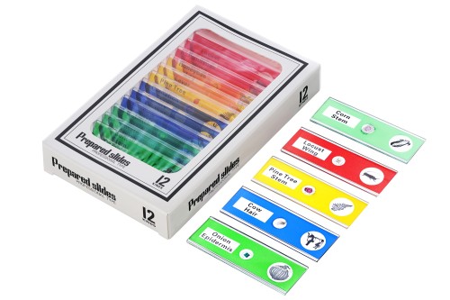 Mikroskop cyfrowy Levenhuk Rainbow DM500 LCD-1427956