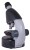 (PL) Mikroskop Levenhuk LabZZ M101 Moonstone\Kamień Księżycowy-1443396