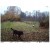 BL480L-P Fotopułapka - widok. 2jpg.jpg
