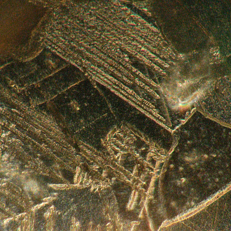 Odwrócony mikroskop metalurgiczny MAGUS Metal V700 BD-1771391