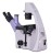 Odwrócony mikroskop biologiczny MAGUS Bio V300-1616916