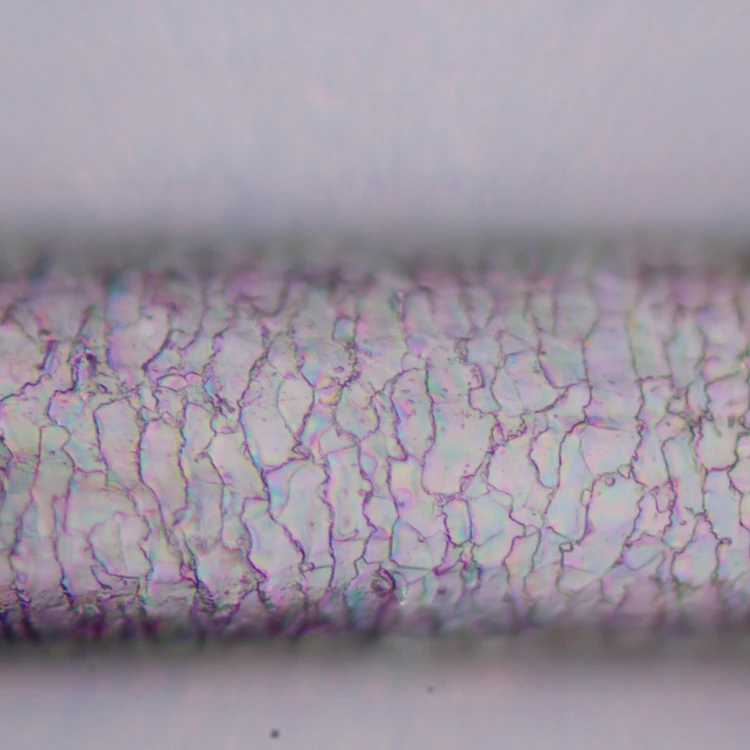 Mikroskop polaryzacyjny MAGUS Pol 800-1771406