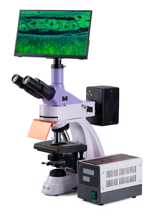 Mikroskop fluorescencyjny cyfrowy MAGUS Lum D400 LCD-1661339