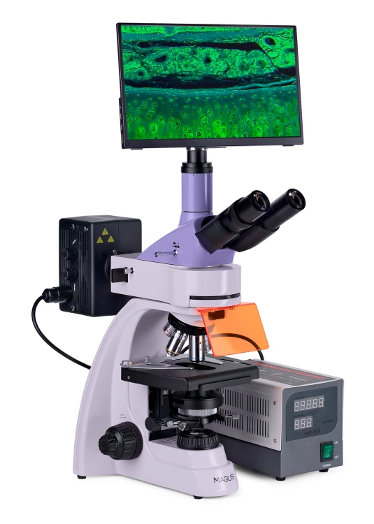 Mikroskop fluorescencyjny cyfrowy MAGUS Lum D400 LCD-1661332
