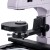 Odwrócony mikroskop fluorescencyjny cyfrowy MAGUS Lum VD500 LCD-1626254