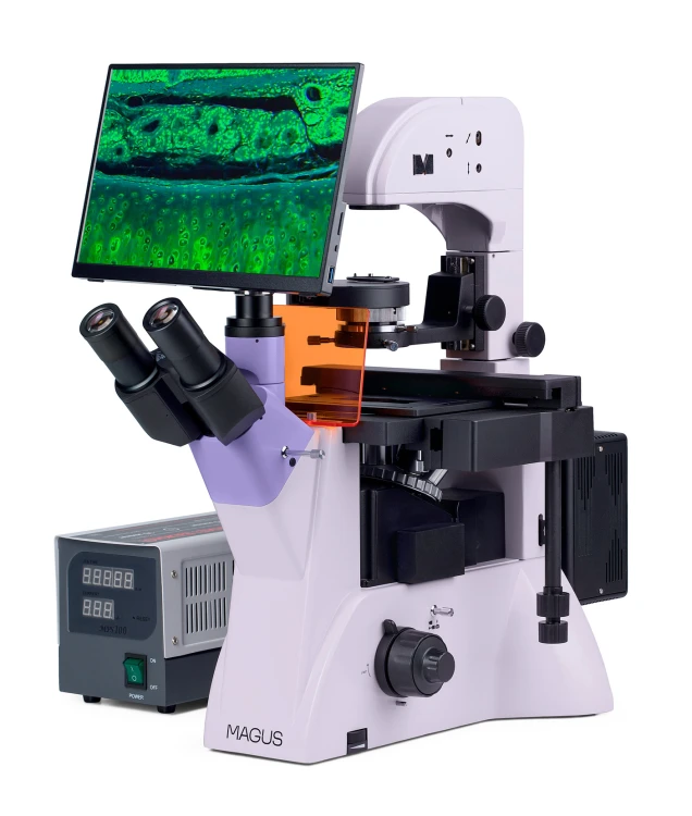 Odwrócony mikroskop fluorescencyjny cyfrowy MAGUS Lum VD500 LCD-1673700