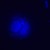 Odwrócony mikroskop fluorescencyjny cyfrowy MAGUS Lum VD500L-1791440