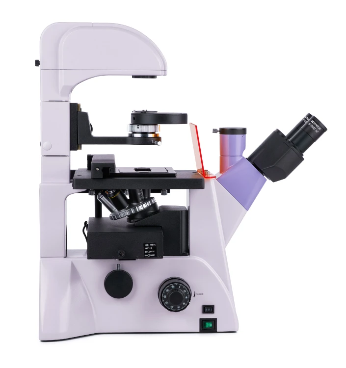 Odwrócony mikroskop fluorescencyjny cyfrowy MAGUS Lum VD500L-1626268