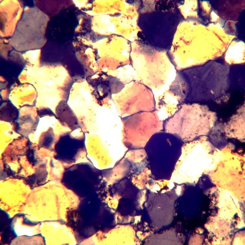 Mikroskop polaryzacyjny cyfrowy MAGUS Pol D800 LCD-1771514