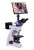 Mikroskop polaryzacyjny cyfrowy MAGUS Pol D850 LCD-1685269