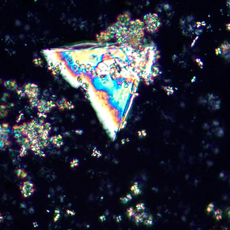 Mikroskop polaryzacyjny cyfrowy MAGUS Pol D850 LCD-1771523