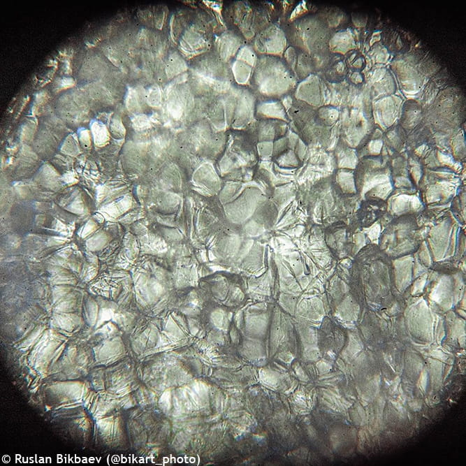 (PL) Mikroskop Levenhuk Rainbow 50L PLUS Amethyst\Ametyst-1439122