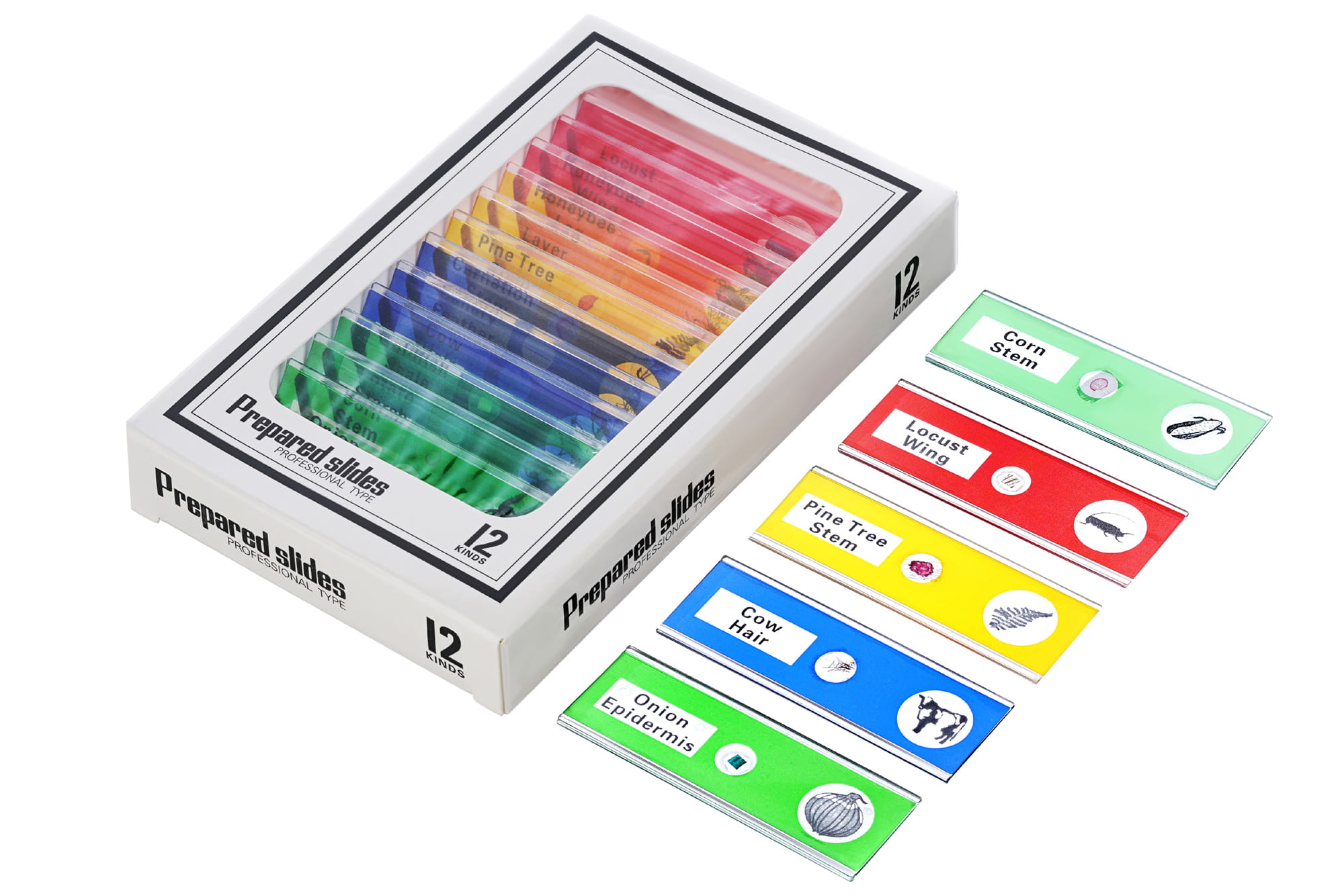 Mikroskop cyfrowy Levenhuk LabZZ DM200 LCD-1428035