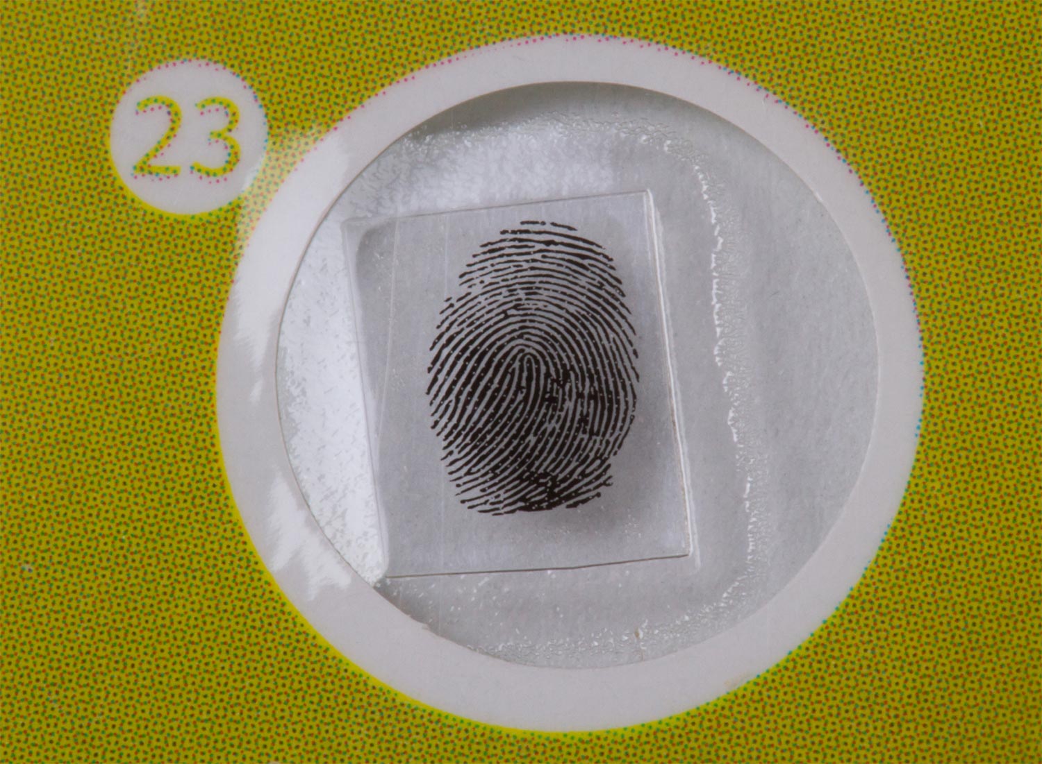 Zestaw preparatów roślinnych Levenhuk LabZZ P12-1468152