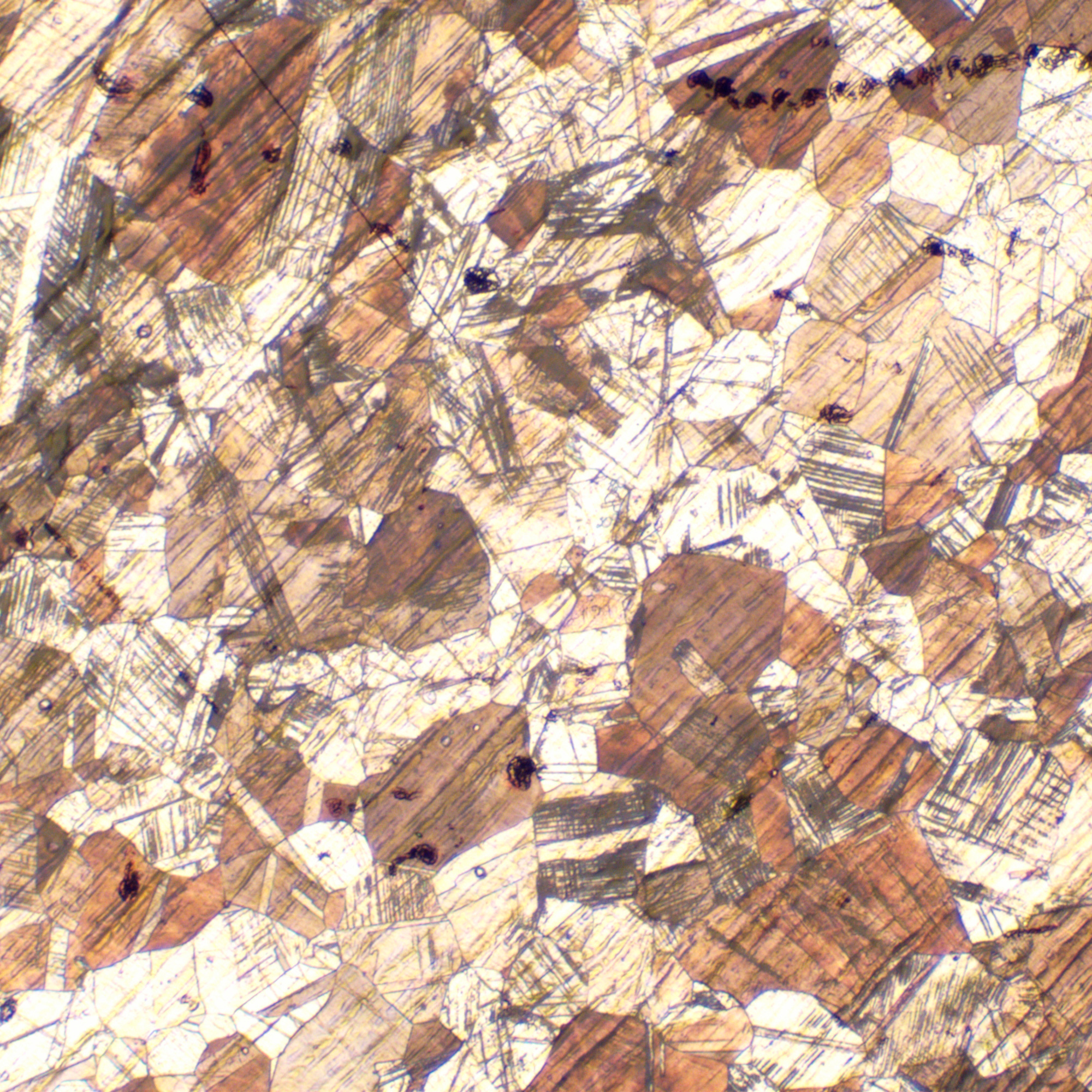 Mikroskop metalurgiczny MAGUS Metal 650-1771380