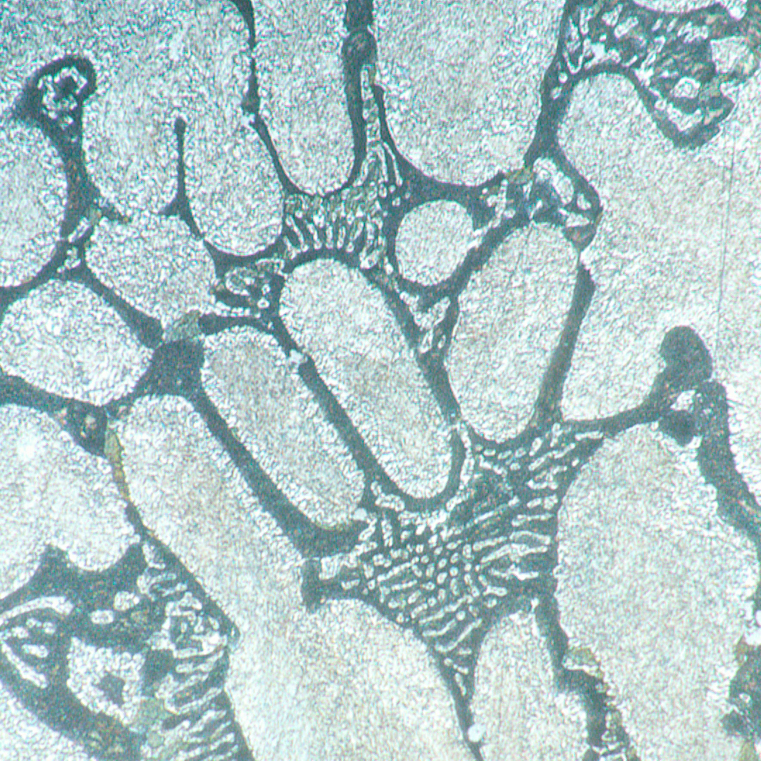 Odwrócony mikroskop metalurgiczny MAGUS Metal V700-1771386