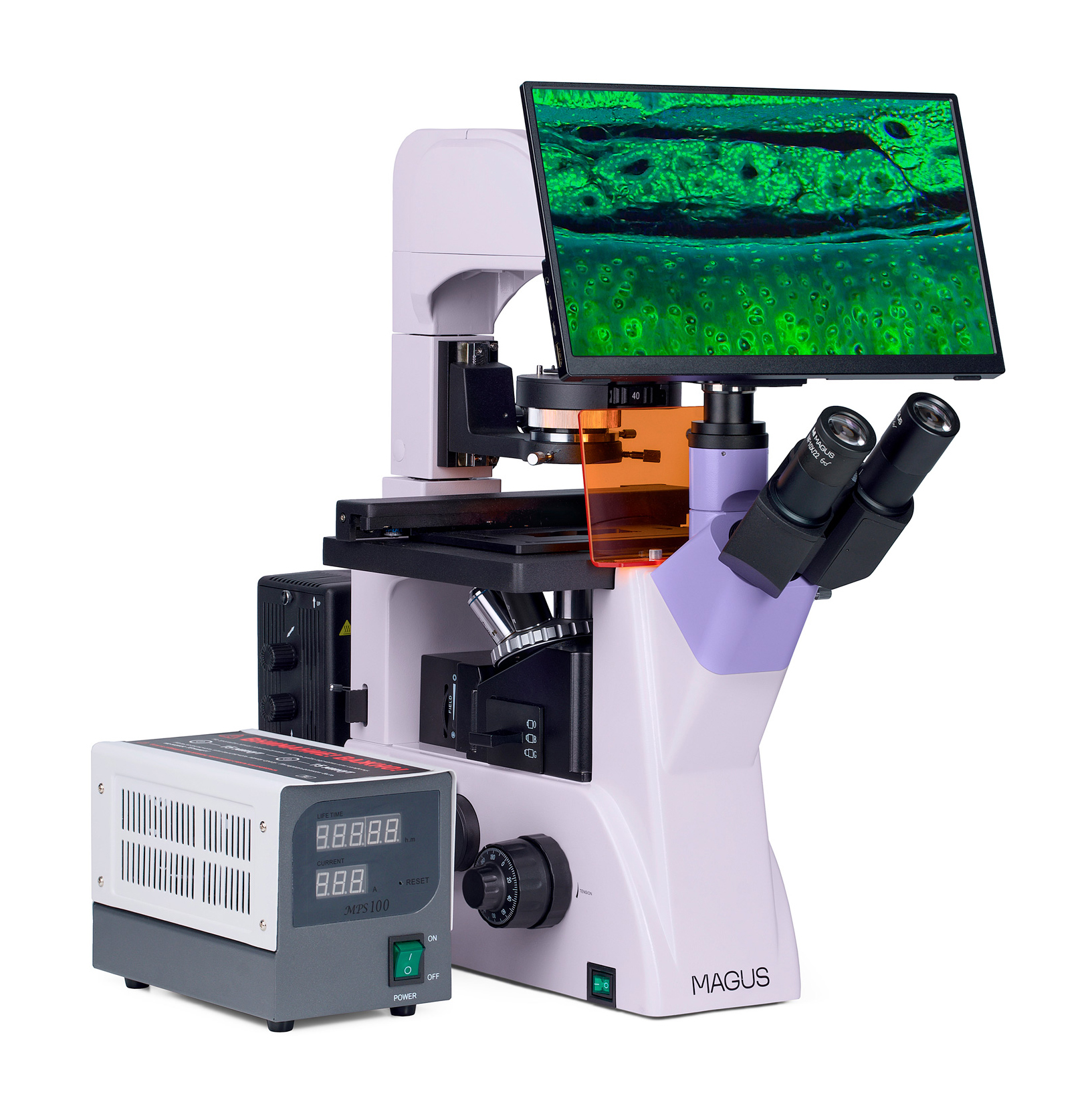 Odwrócony mikroskop fluorescencyjny cyfrowy MAGUS Lum VD500 LCD-1673693