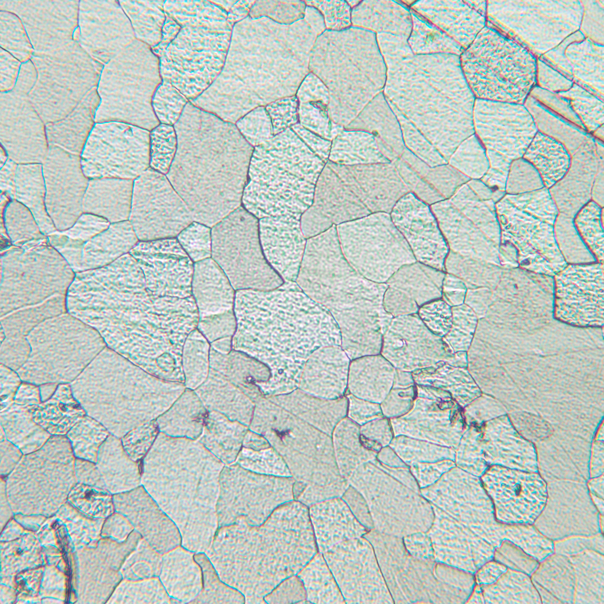 Mikroskop metalurgiczny cyfrowy MAGUS Metal D630-1771463